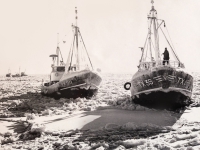 ij s17