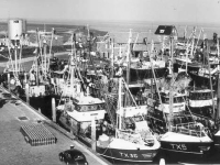 haven 8