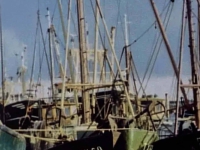 Oude haven 13