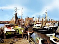 Oude haven 14