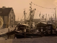 Oude haven 3