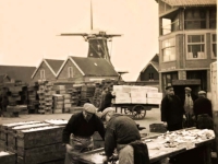Visafslag 2