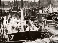 VLOOT  TX37 1