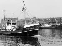 VLOOT  TX56 1